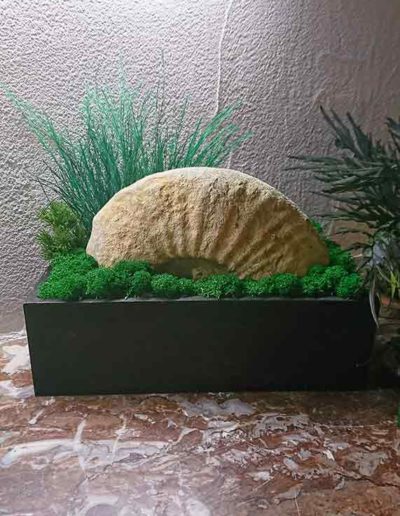 fossile