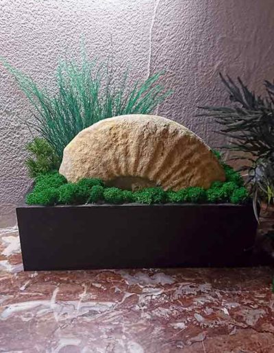 fossile