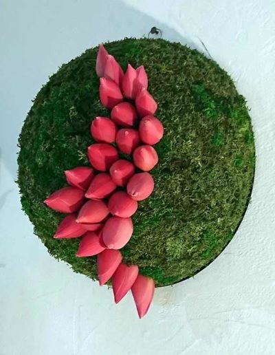lotus