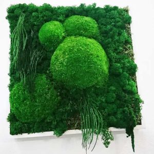 tableau mousse