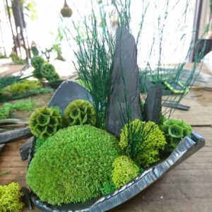 Mini-forêt