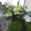 kokedama extérieur – Image 2