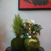 kokedama extérieur