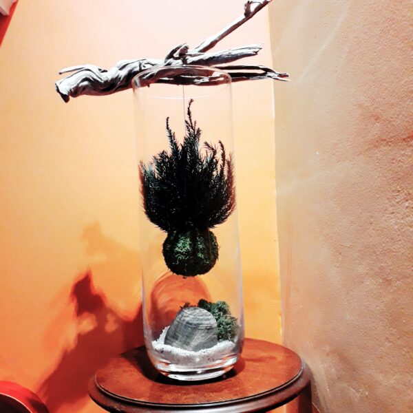 kokedama suspendu – Image 4