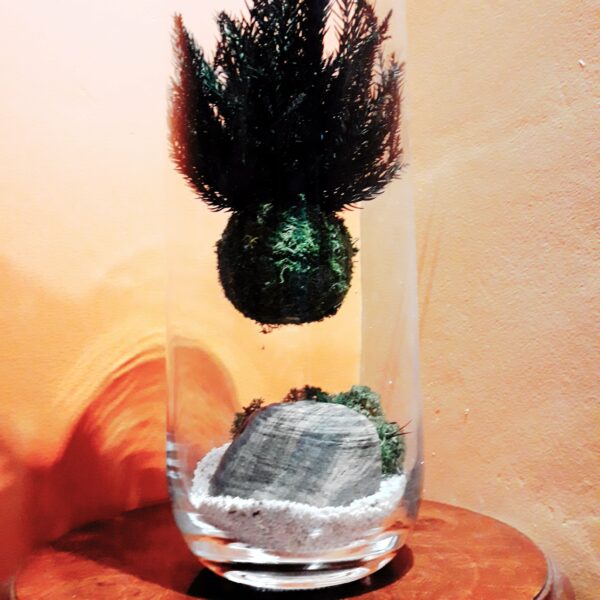 kokedama suspendu – Image 5