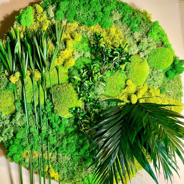 Rond de verdure – Image 3