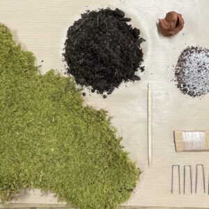 DIY Kit de création de kokedama