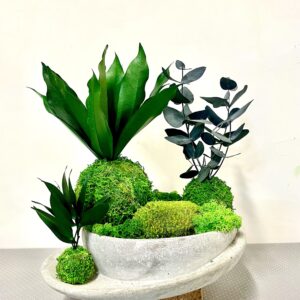 Création kokedama et béton