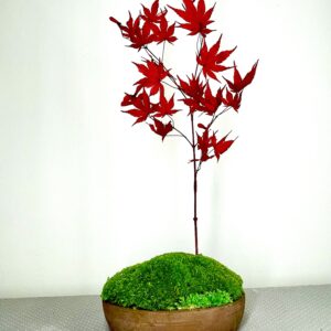 Paysage japonais