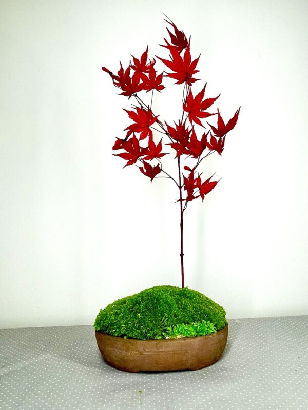 Paysage japonais