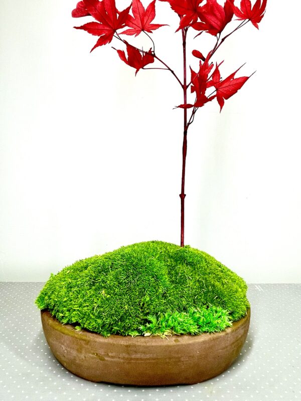 Paysage japonais – Image 2
